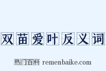 双苗爱叶反义词是什么意思的图片